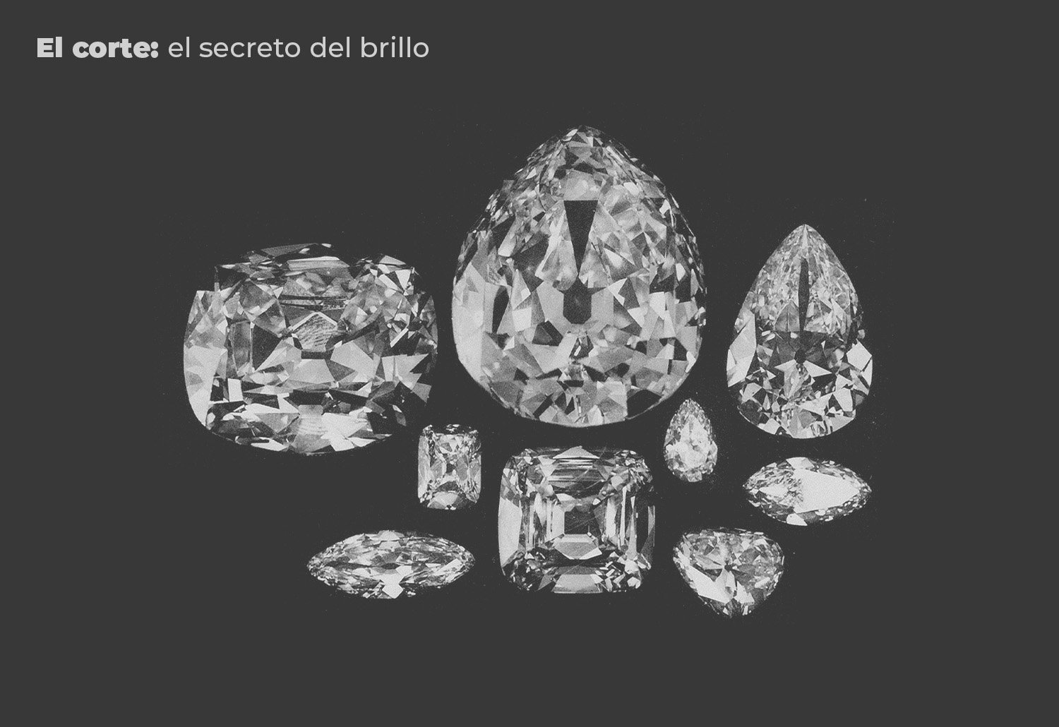 2025_Blog_Diamante-corte_BannerInterno_1