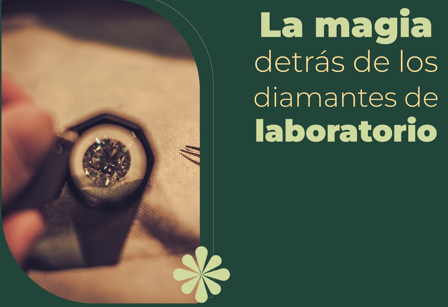 2025_Blog_Ecoluxury_BannerInterno_1